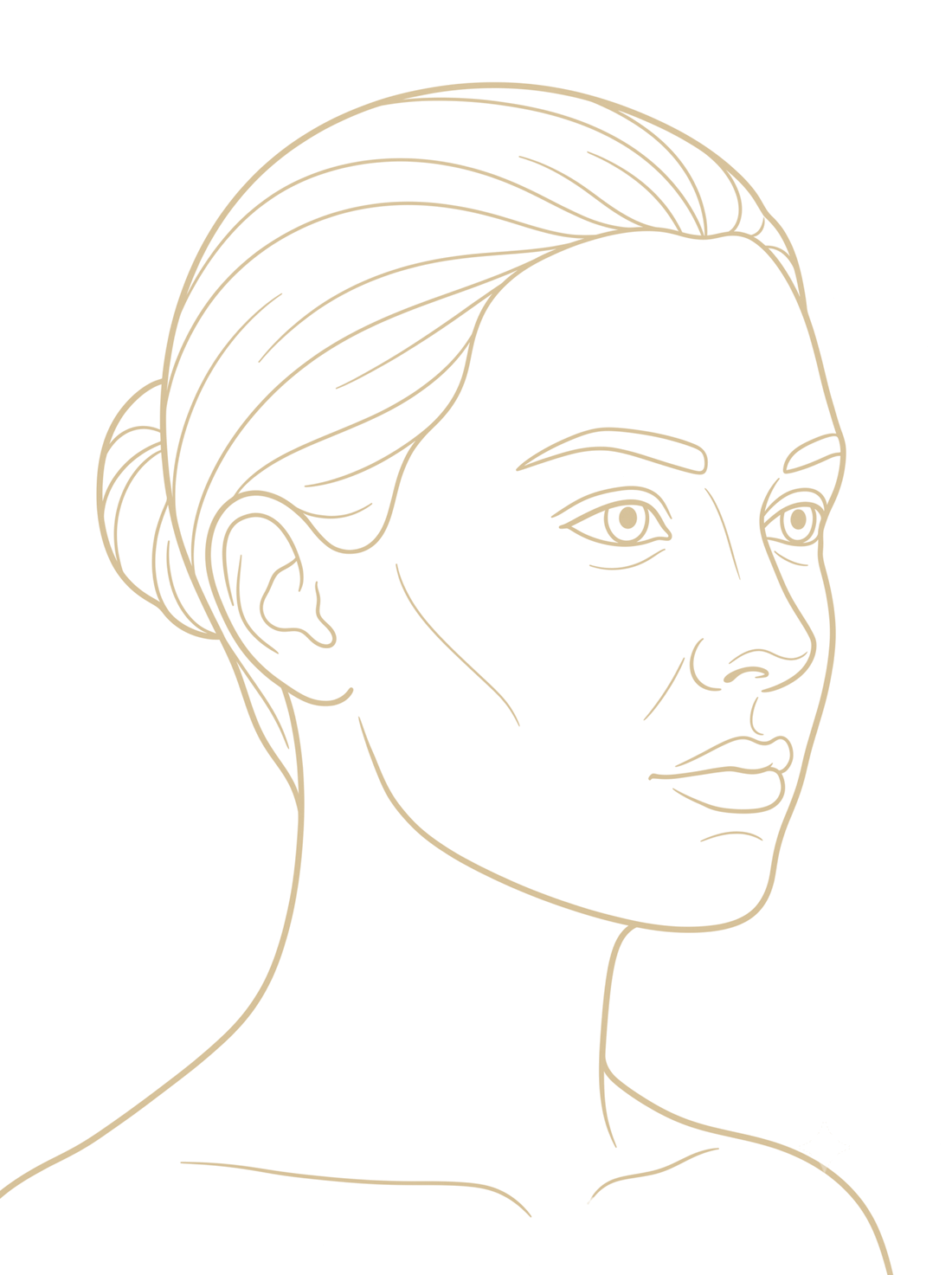 Three-quarter view line-art face illustration — select an area to open its note